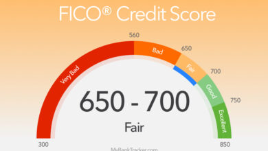 Check My Credit Score: Your Path To Financial Health