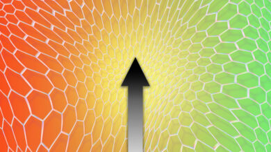 Experian Boost: Enhancing Credit Scores With Alternative Data